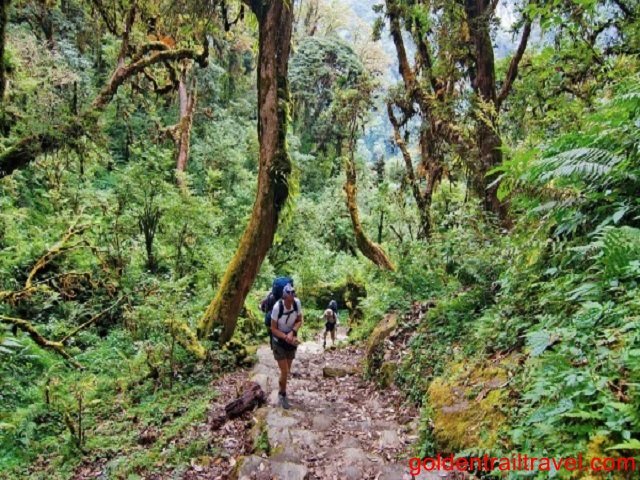 Dalat Vietnam Jungle Trekking Package from Saigon